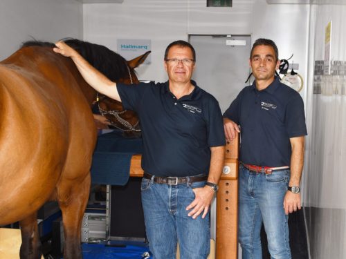 Hallmarq Veterinary Imaging 100th standing Equine MRI system