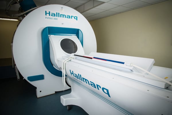 Veterinary Specific Small Animal (Dogs and Cats) MRI Machine - Hallmarq Advanced Veterinary Imaging