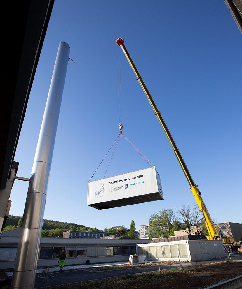 The Impossible MRI Machine Install? On the contrary - Hallmarq Advanced Veterinary Imaging