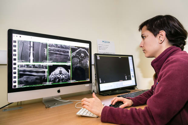 Improved User Experience for Both Specialists and RVNs - Hallmarq Advanced Veterinary Imaging (MRI & CT)