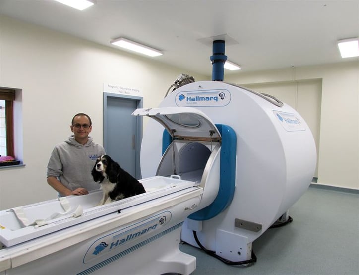 Top Specialists and MRI Scanner for South West Based Veterinary Centre - Hallmarq Advanced Veterinary Imaging